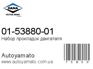 01-53880-01 (VICTOR REINZ)